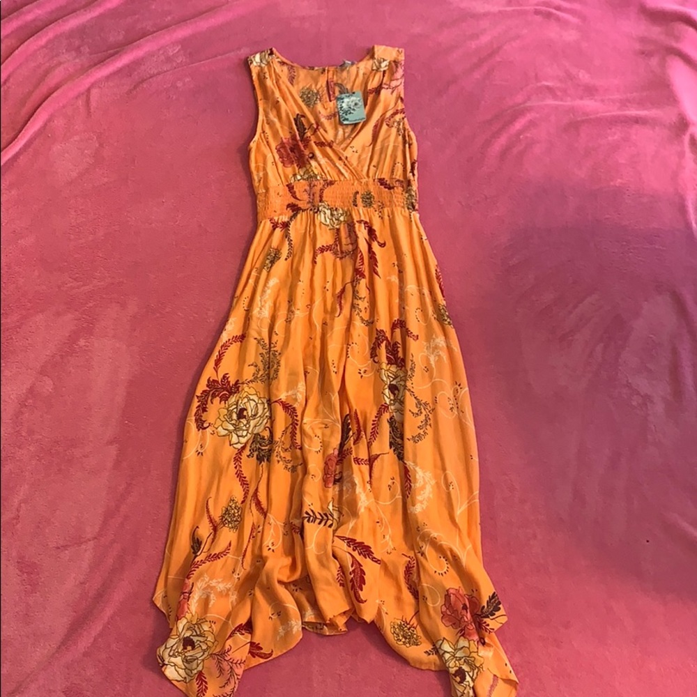 Anthropologie Nostalgia Floral Dress NWT Small